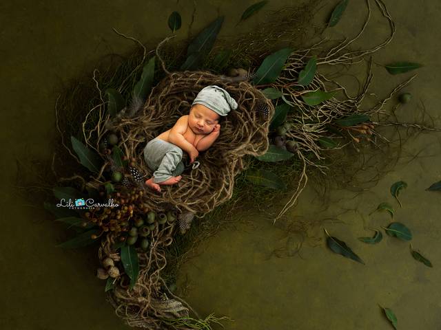  Newborn de Benjamin Augusto Silva Fernandes,  11 dias 