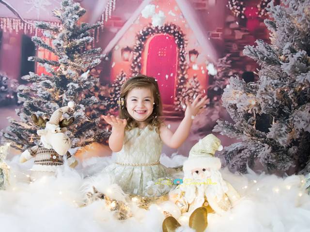 Sessões especiais  de Theodora de Carvalho 