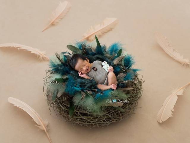  Newborn de Murilo de Souza Pastrelli Gonçalves 