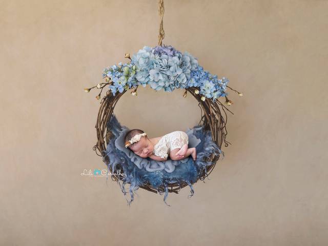  Newborn de Sophia Manuela Sartorelli Margonar