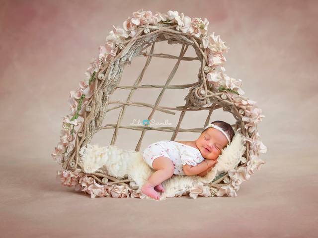  Newborn de Helena de Castro Santos 