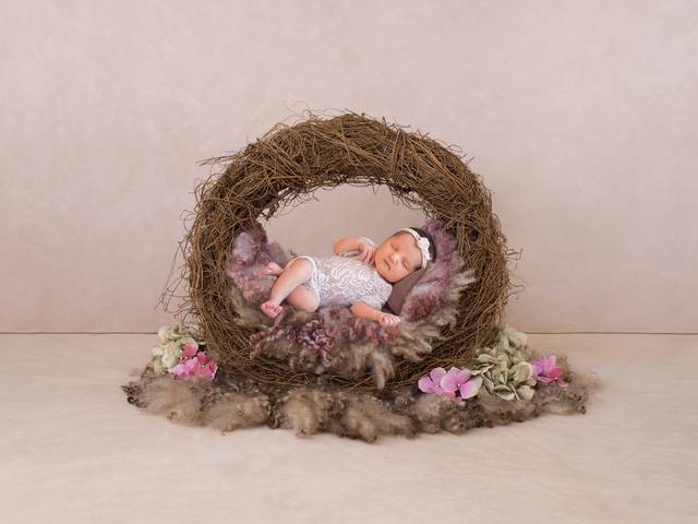  Newborn de Lana Zeneratti Refundini Carniel