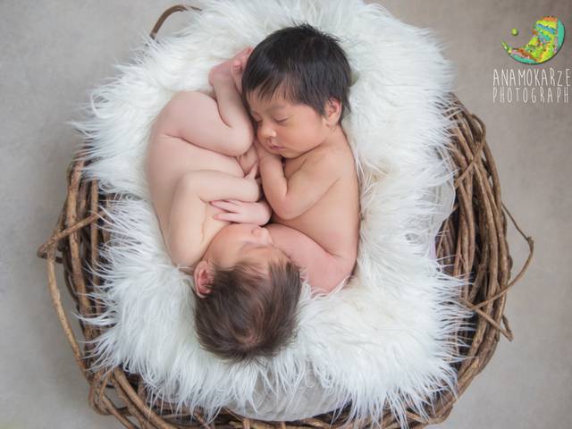 Newborn de Book newborn de Sofia e Pedro