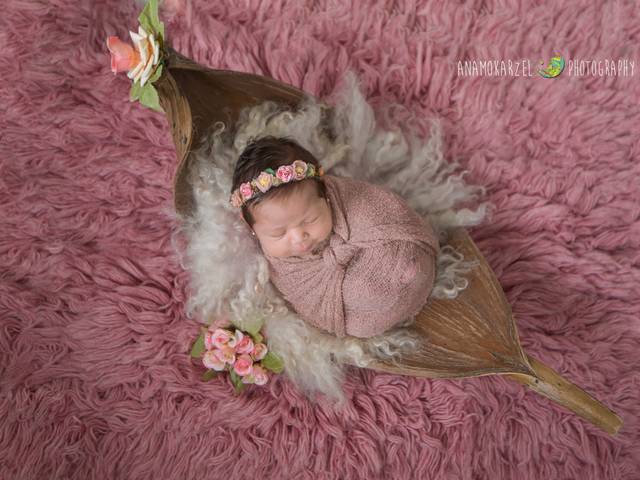 Newborn de Book newborn da Stella