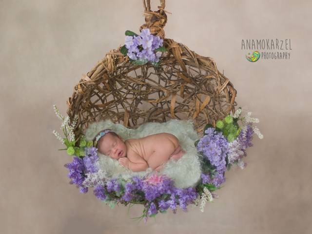 Newborn de Book Newborn da Bianca