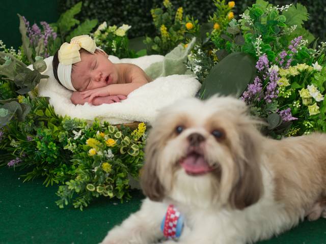 Newborn de Alice - 6 dias