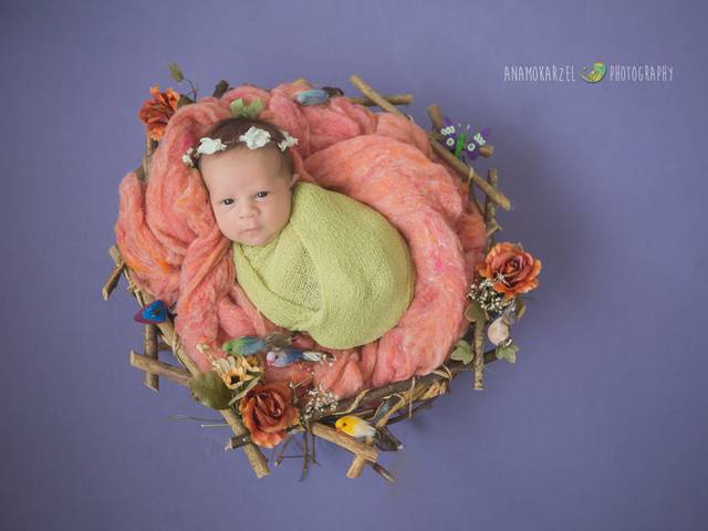 Newborn de Ensaio Newborn da Olívia