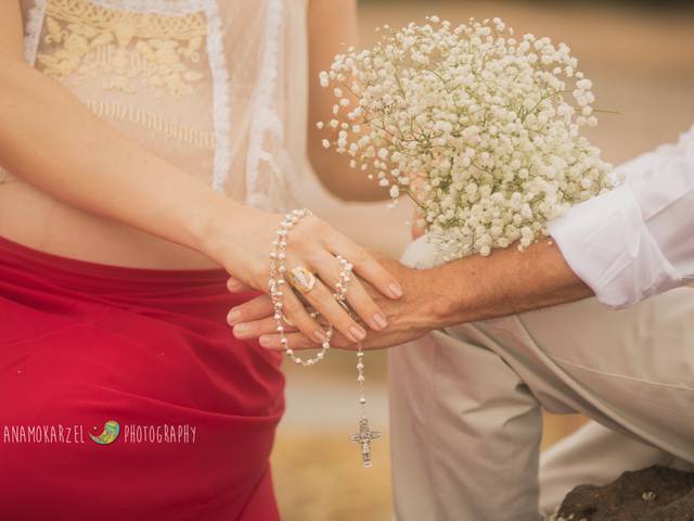 Gestante de Book de grávida da Aurora