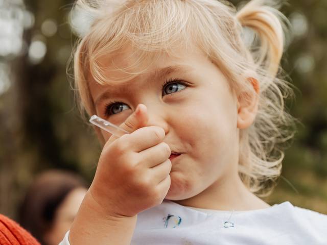 Infantil de Lavínia 2 anos