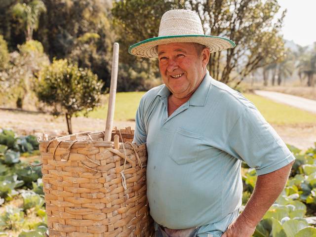 Ensaio de José Paulo Schmitt