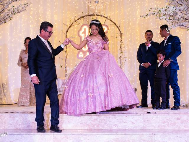 15 Anos de Ana Lívia - 15 Anos