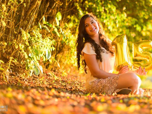 Ensaios de Ensaio de Érika 15 Anos