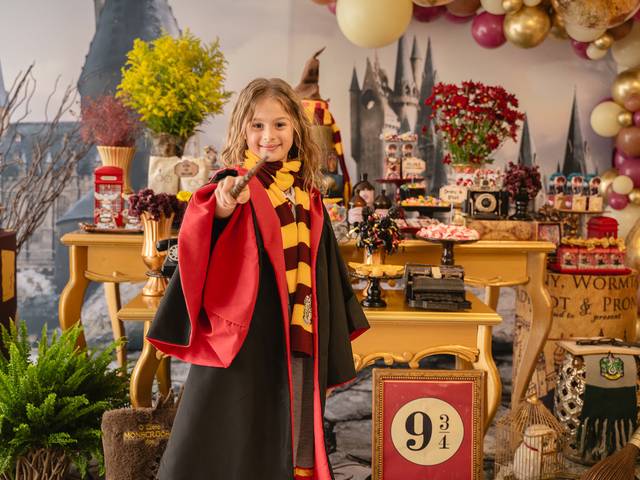 Aniversário infantil de Aniversário Olivía - tema Harry Potter