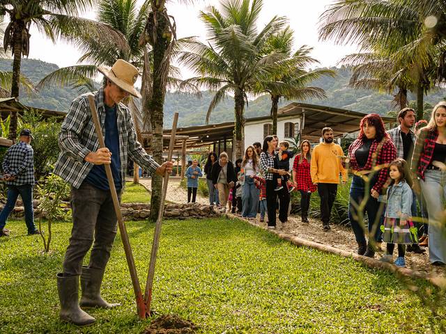 festa junina - escola de Festa na fazenda - Árvore da vida