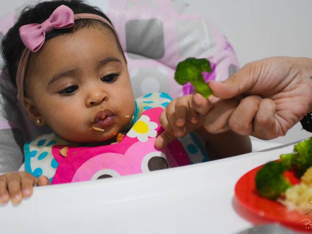 Infantil de Ensaio Ágatha de Introdução Alimentar 