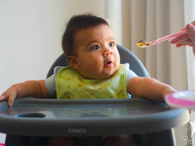 Bebês de Ensaio Em Casa de Introdução Alimentar - Introdução Alimentar da Isabela
