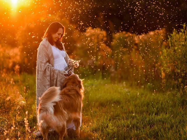 Gestantes de Espera por Teodoro