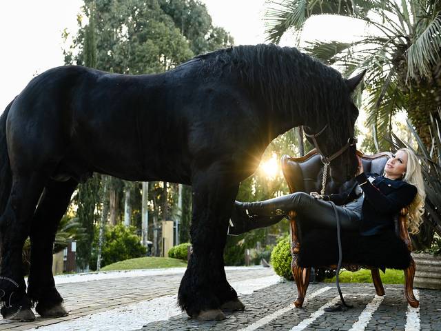 Famílias de Tati e Van-Dick