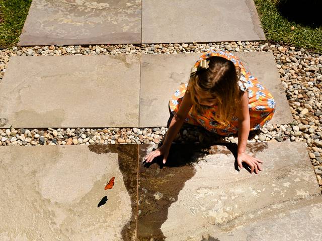 Famílias de Família da Antônia!