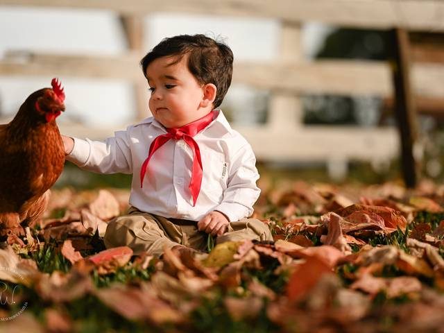 Crianças de Miguel fez 1