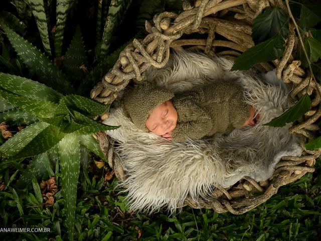 Newborn de Lorenzo