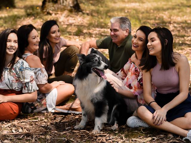 Famílias de Família da Jana