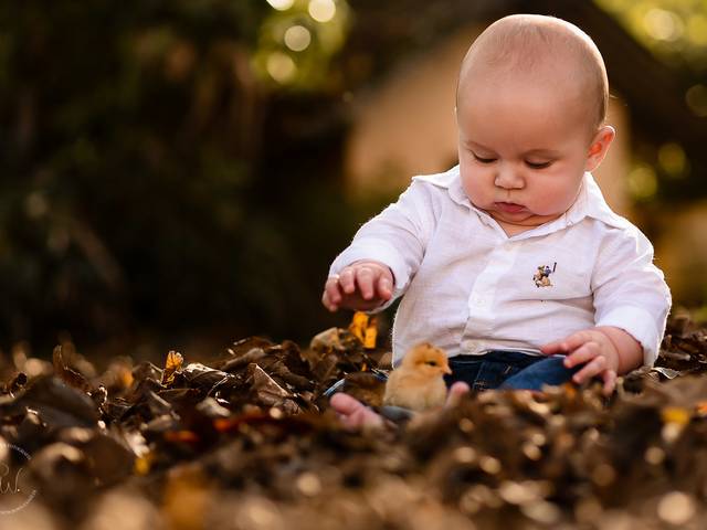 Crianças de Francisco, maravilhoso