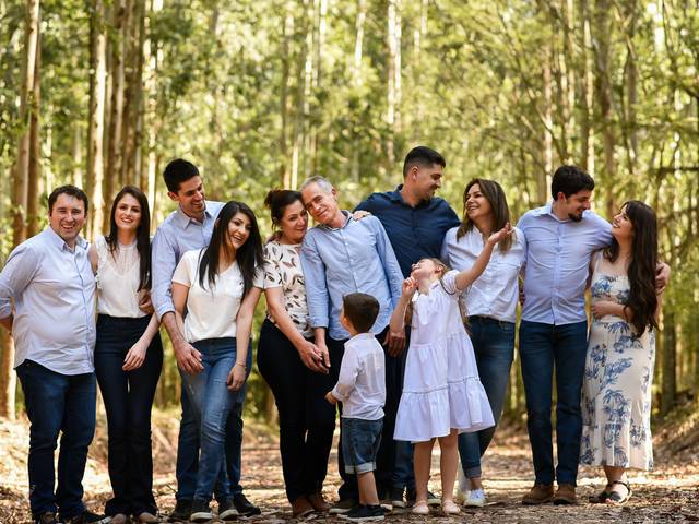 Famílias de Família Lupatini