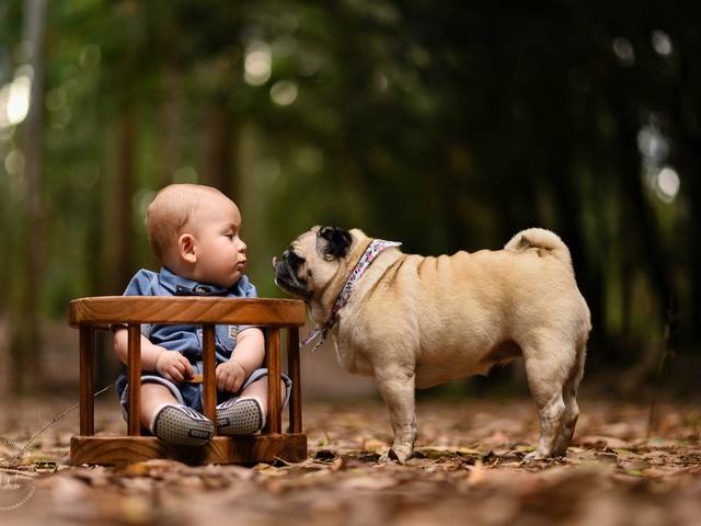 Crianças de Joaquim, 6meses