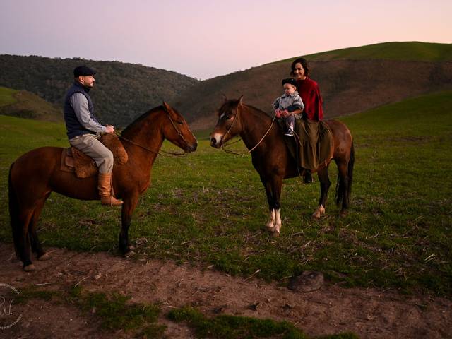 Famílias de Francisco