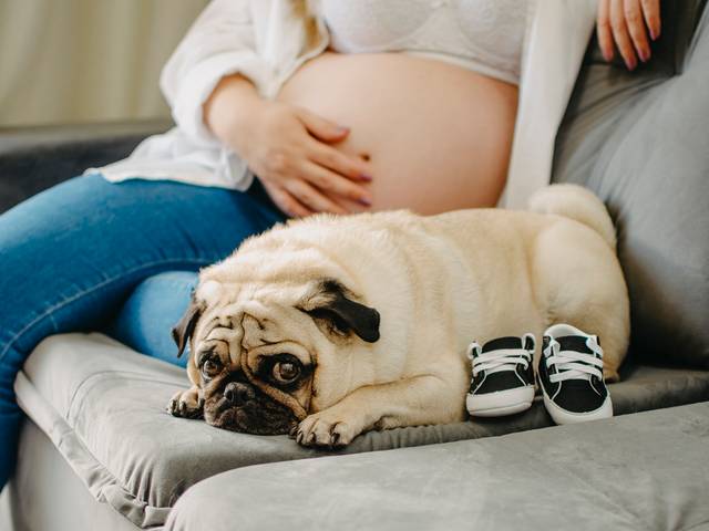 GESTAÇÃO de A espera por Rafael