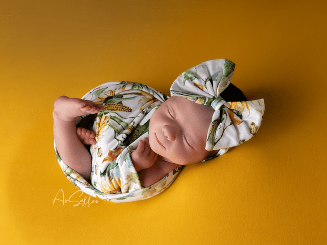 newborn de Book newborn-Isabel