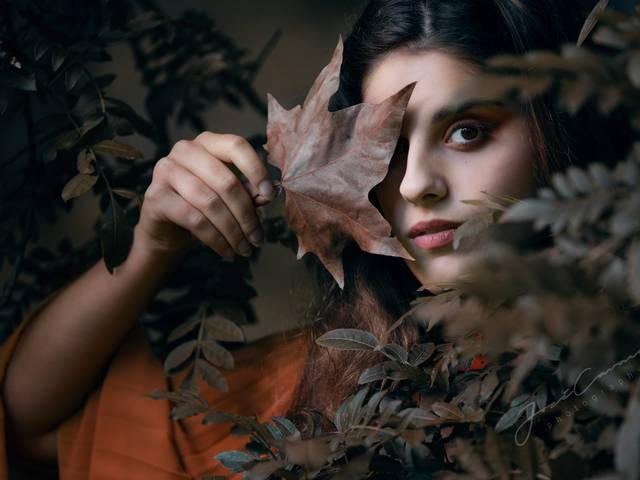 Evento Temático  de Magic Land