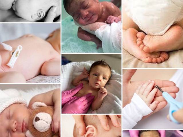 Consultoria Materno Infantil  de Acolher Baby 