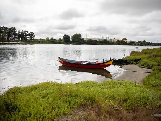 Fotografia Arquitetônica/Paisagem de Ria de Aveiro