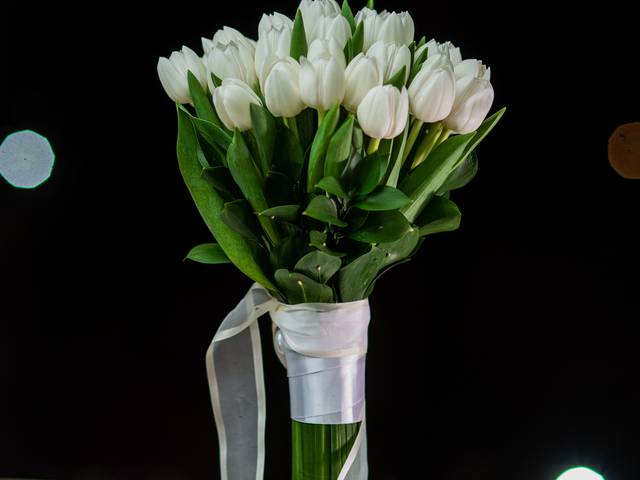 Casamento de Livia + Tegno