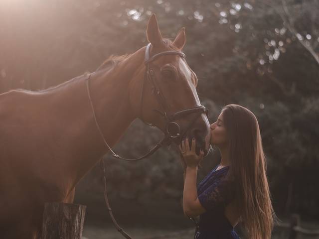 Mulheres&Cavalos de Ensaio Vitória Almeida 