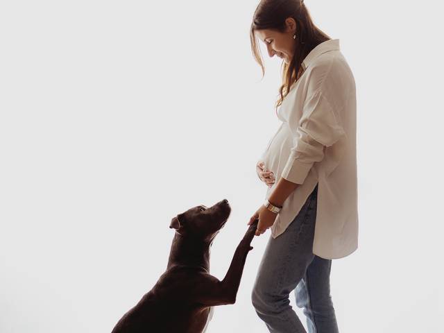 Maternity  de Mommy C.