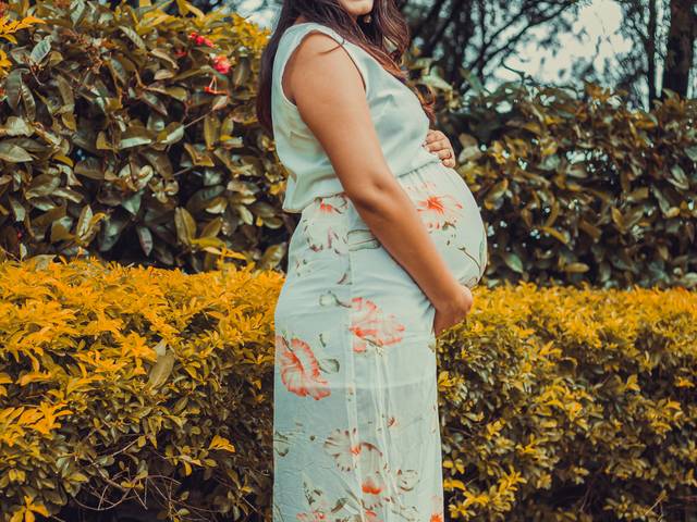 Gestantes de ensaio gestante-williane