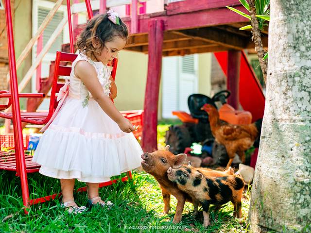 Ensaio Família de Marina 2 anos