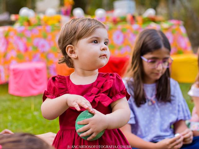 Aniversário Infantil de Rafaela 1 ano