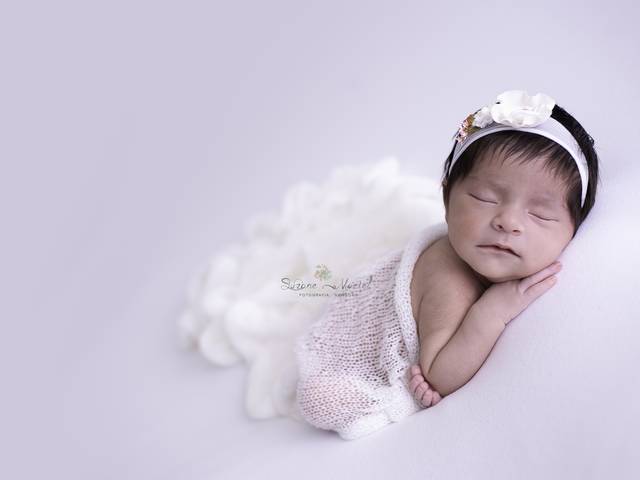 Newborn de Ensaio Newborn