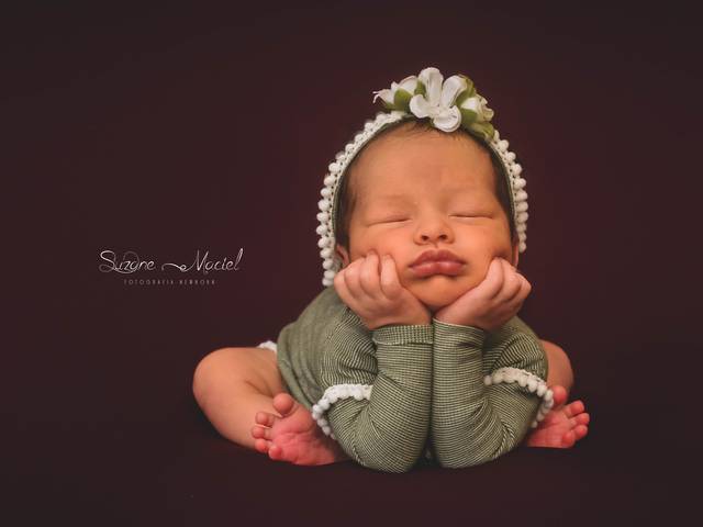 Newborn de Ensaio Newborn