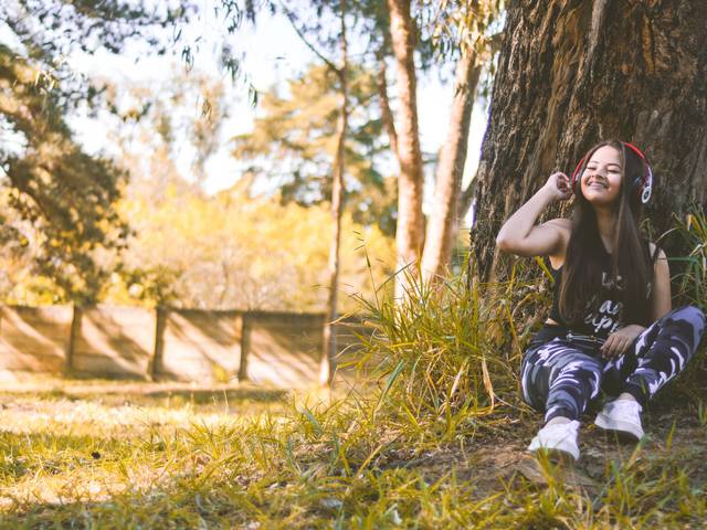 15 Anos de Ensaio 15 Anos