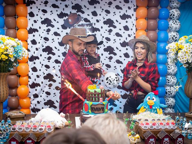 Aniversário de Fazendinha do Davi