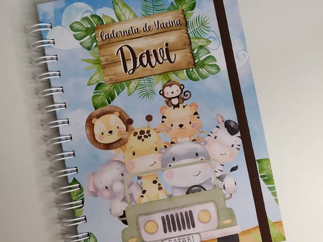 Bebê de Reforma de Caderneta de Vacina