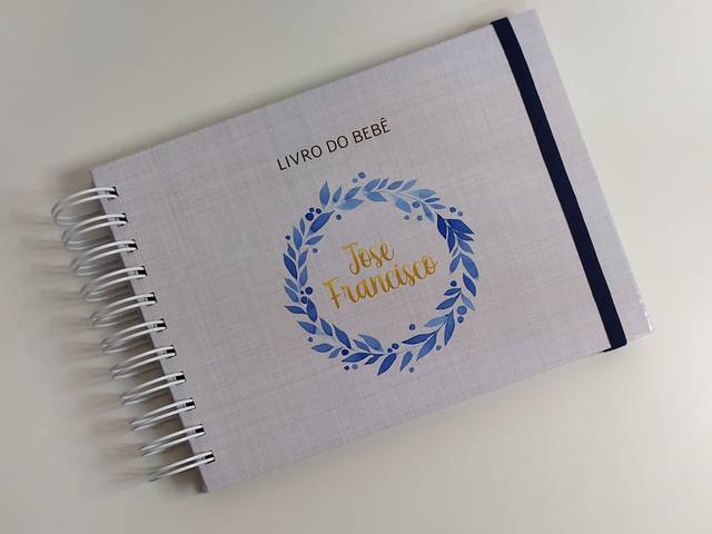 Bebê de Álbum primeiro ano do bebê