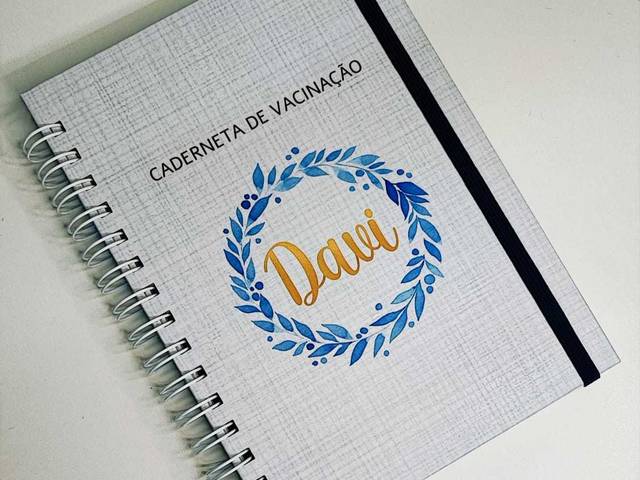 Bebê de Reforma de caderneta de Vacina