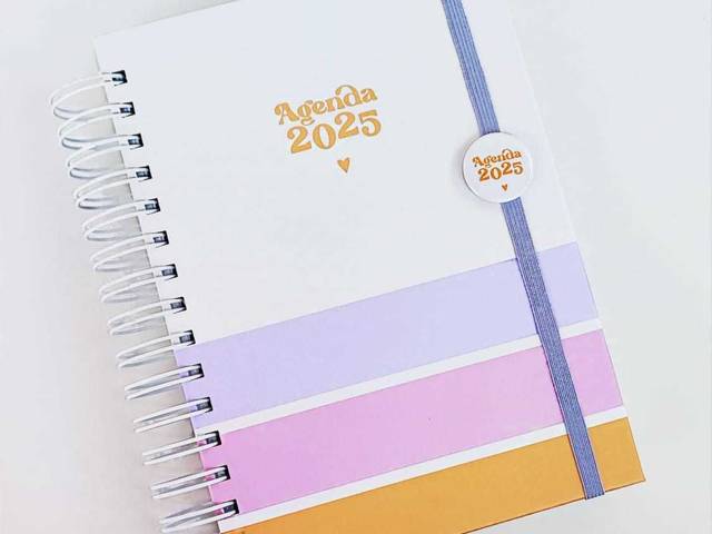 Agenda e Planner 2025 de AGENDA 2025 UM DIA POR PÁGINA