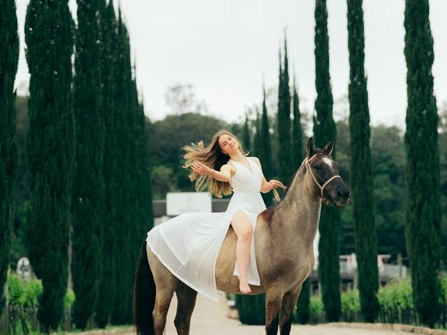 15 Anos de ENSAIO | Camile